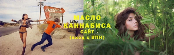 хмурый Арсеньев