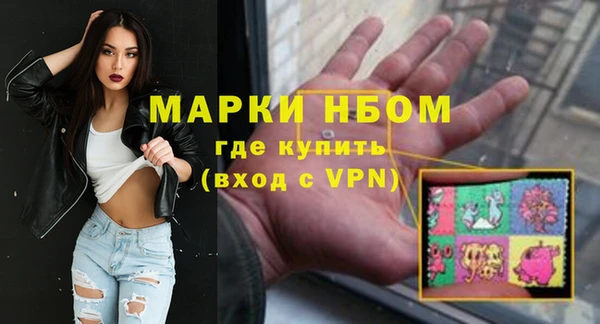 хмурый Арсеньев