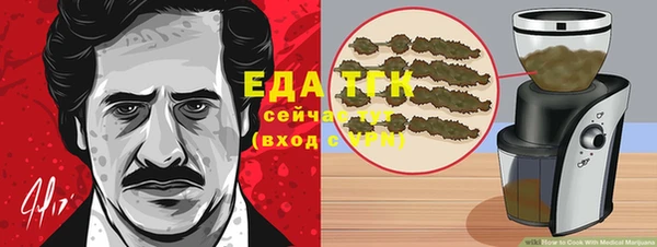 хмурый Арсеньев