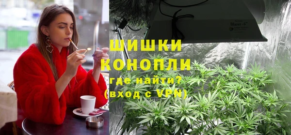 хмурый Арсеньев